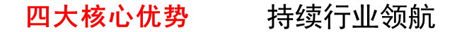 公司優(yōu)勢
